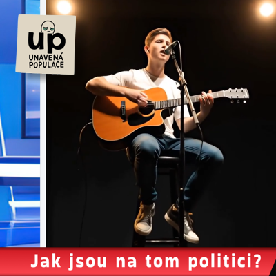 Ikona Politika