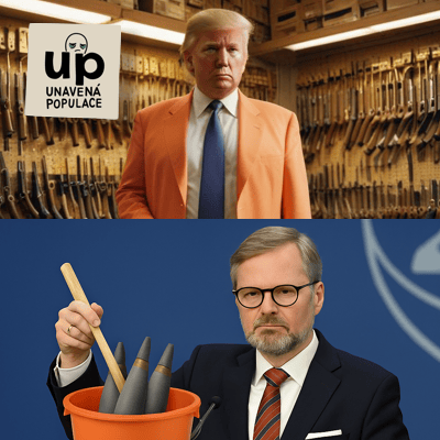 Ikona Politika